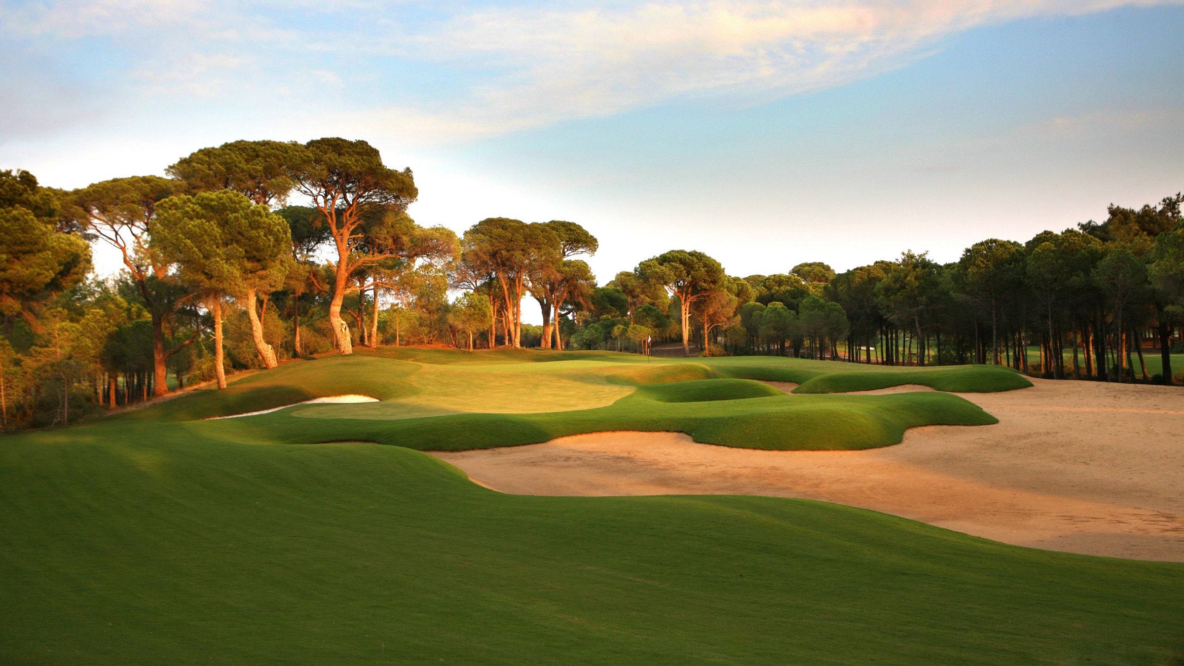 A golf green and bunker among pines in golden evening light